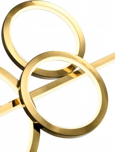 Подвесной светильник Zortes Osty ZRS.1209.04 в Нижнем Новгороде фото 3