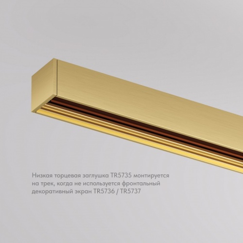 Заглушка для трека Denkirs SHINE BASE TR5735-SB в Нижнем Новгороде фото 3