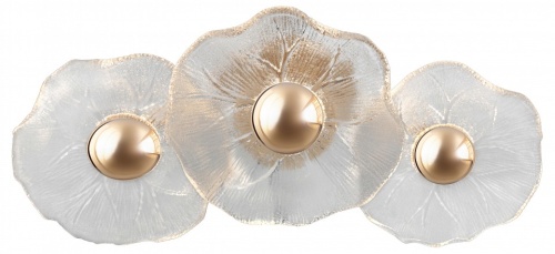 Накладной светильник Rivoli Shannon Б0061948 в Нижнем Новгороде