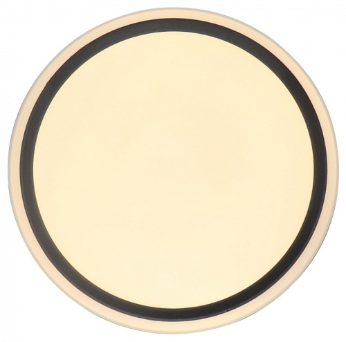 Накладной светильник Zortes Bella ZRS.1201.04 в Нижнем Новгороде фото 2