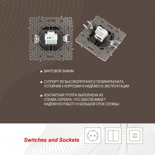 Розетка телефонная RJ-11 без рамки Arte Milano am-217 217.51-1.shampan в Нижнем Новгороде фото 3