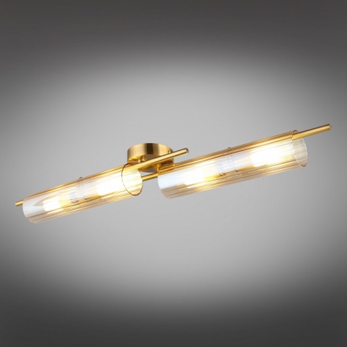 Накладной светильник Aployt Lusia APL.315.07.04 в Нижнем Новгороде фото 10