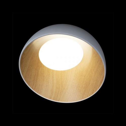 Накладной светильник Loft it Egg 10197/350 White в Заполярном фото 3