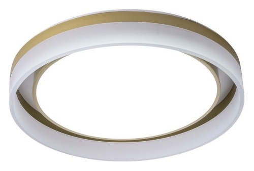 Накладной светильник Zortes Adel ZRS.1200.01 в Нижнем Новгороде фото 15