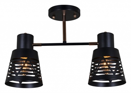 Светильник на штанге 06074-3.3-02 BK+FG в Нижнем Новгороде