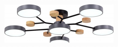 Потолочная люстра EVOLUCE Faema SLE6006-702-06 в Нижнем Новгороде фото 6