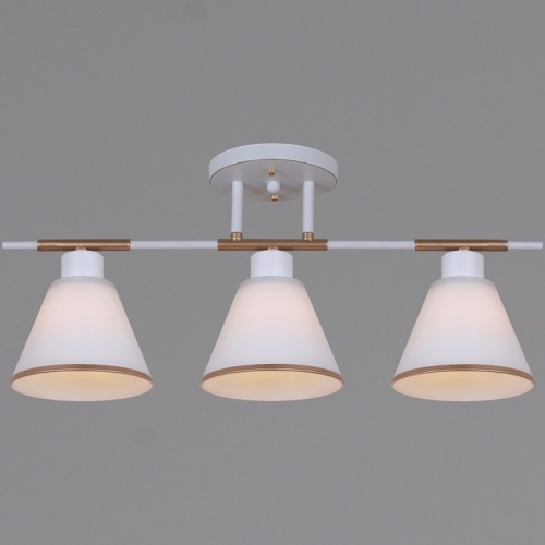 Люстра на штанге  07594-0.3-03 WG в Нижнем Новгороде фото 2