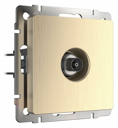 ТВ-розетка без рамки Werkel шампань рифленый W1183010 в Нижнем Новгороде