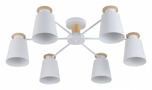 Потолочная люстра Rivoli Adna Б0053436 в Нижнем Новгороде