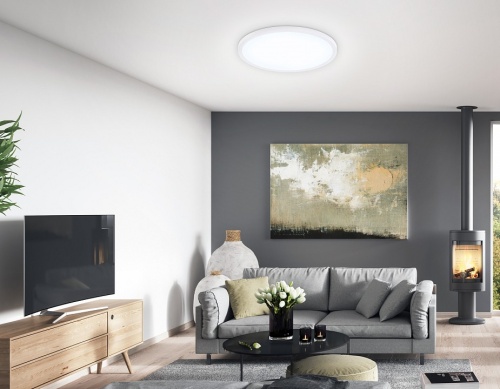 Накладной светильник Ambrella Light FZ FZ1955 в Нижнем Новгороде фото 3