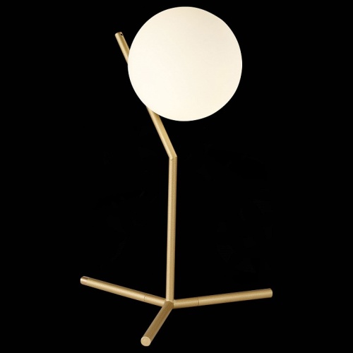 Настольная лампа декоративная ST-Luce Codda SL1148.304.01 в Заречном фото 2