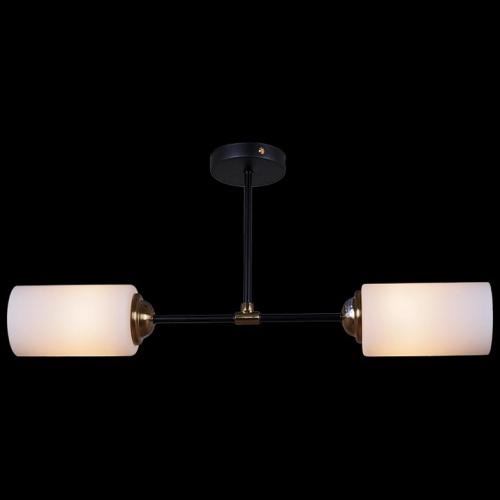 Светильник на штанге 32348-0.3-02 в Нижнем Новгороде фото 4