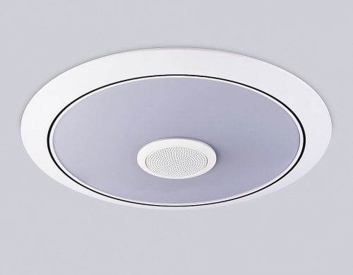 Накладной светильник Ambrella Light  FZ710 в Нижнем Новгороде