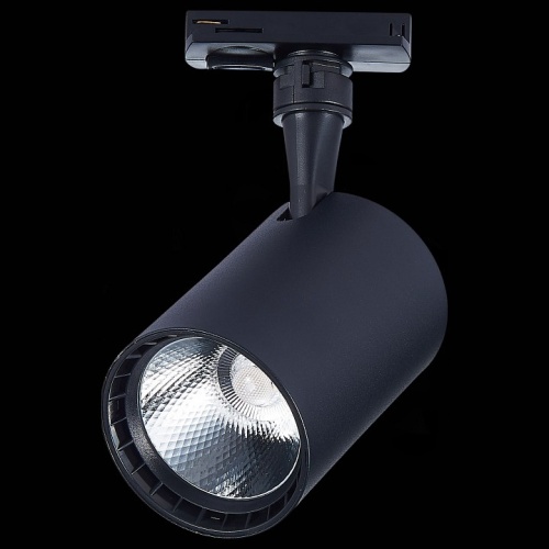 Светильник на штанге ST-Luce Cami ST351.436.20.36 в Нижнем Новгороде фото 2