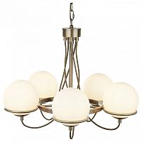 Подвесная люстра Arte Lamp Bergamo A2990LM-5AB в Нижнем Новгороде