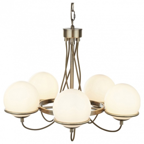 Подвесная люстра Arte Lamp Bergamo A2990LM-5AB в Нижнем Новгороде