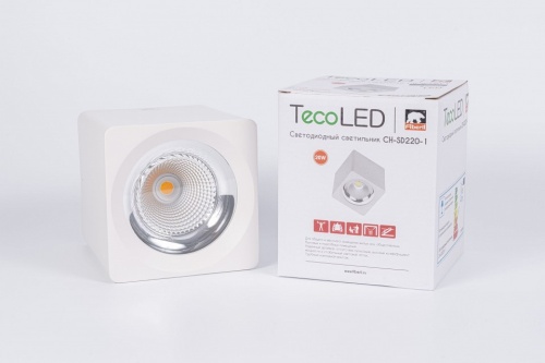 Накладной светильник Fiberli CH-SD220 12120101 в Нижнем Новгороде фото 4