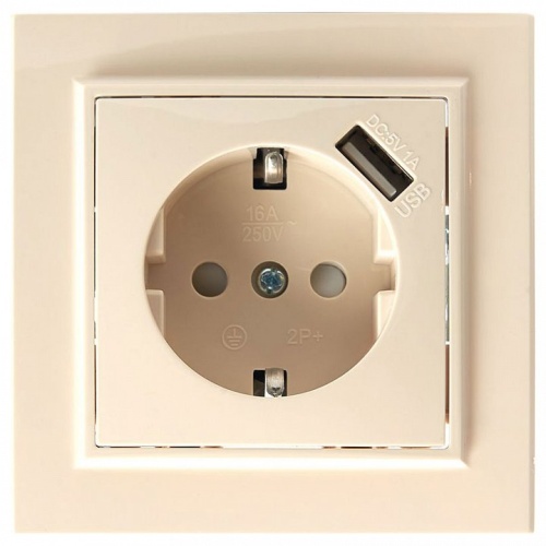 Розетка с заземлением и со шторкой и USB Stekker Эрна 39237 в Нижнем Новгороде