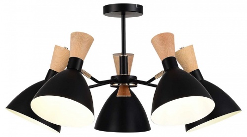 Люстра на штанге EVOLUCE VISTA SLE1256-402-05 в Нижнем Новгороде фото 12