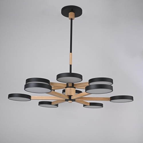 Люстра на штанге Imperiumloft TURNA Black TURNA-DBL01 в Нижнем Новгороде фото 9