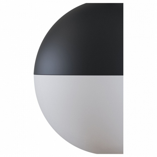 Подвесной светильник Maytoni Kiat TR018-2-10W4K-B в Нижнем Новгороде фото 3