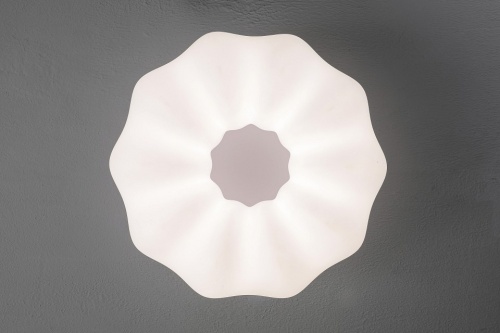 Накладной светильник Zortes Soft ZRS.1118.3 в Нижнем Новгороде фото 11