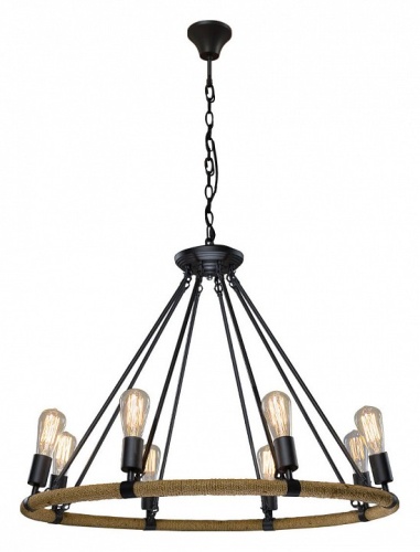 Подвесная люстра Loft it Rope Filament LOFT1861/8 в Нижнем Новгороде фото 3