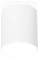 Накладной светильник Ambrella Light TN TN260 в Нижнем Новгороде