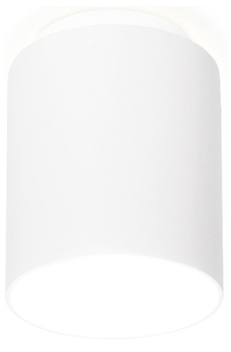 Накладной светильник Ambrella Light TN TN260 в Нижнем Новгороде