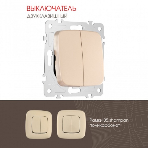 Выключатель двухклавишный без рамки Arte Milano 205 205.30-2.shampan в Нижнем Новгороде фото 4