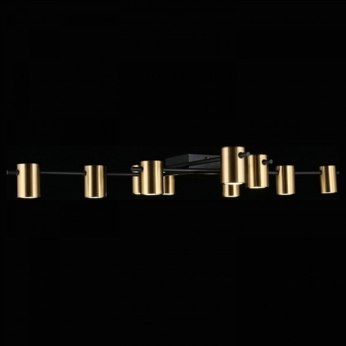 Потолочная люстра Aployt Elwisia APL.633.07.10 в Нижнем Новгороде фото 11