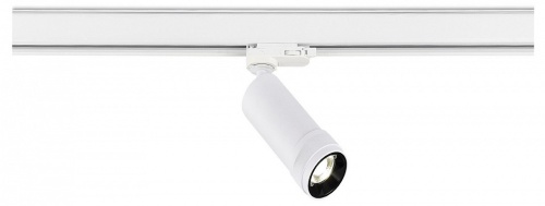 Светильник на штанге ST-Luce ST691 ST691.546.10 в Нижнем Новгороде