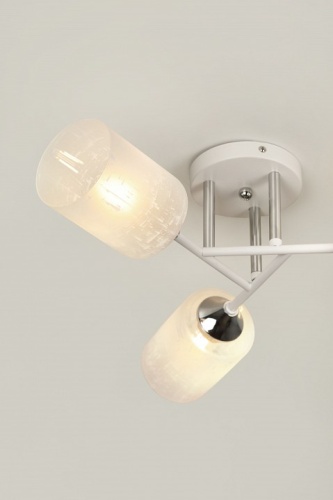 Потолочная люстра Rivoli Federica Б0068438 в Нижнем Новгороде фото 6