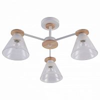 Люстра на штанге Rivoli Theothila Б0068434 в Нижнем Новгороде