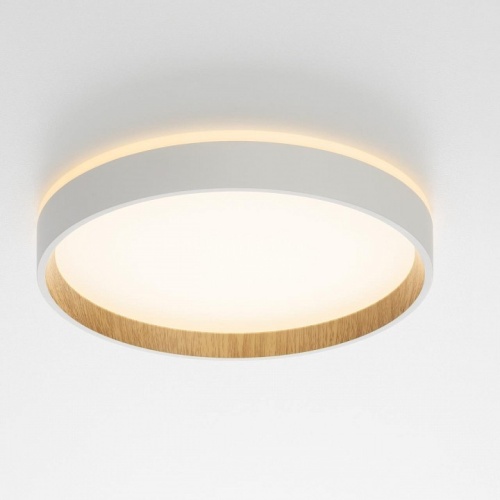 Накладной светильник Citilux Etalon CL750240 в Нижнем Новгороде фото 2