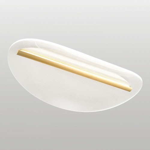 Накладной светильник Lussole Lampasas LSP-7422 в Нижнем Новгороде фото 4