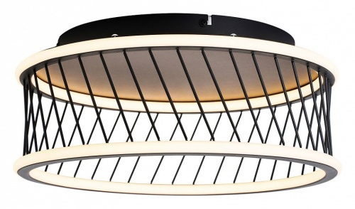 Накладной светильник F-promo Korg 4436-2C в Нижнем Новгороде