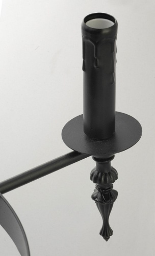 Подвесная люстра Lussole Utica GRLSP-9300 в Нижнем Новгороде фото 6