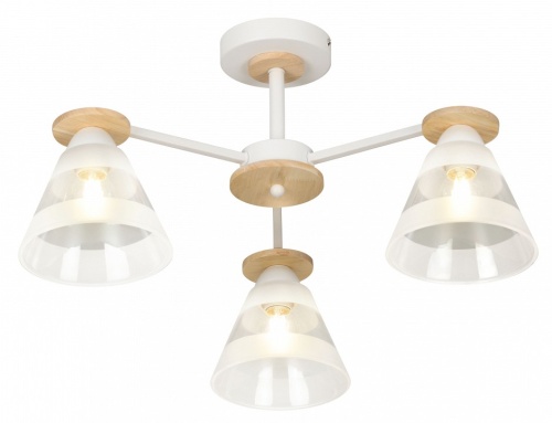 Люстра на штанге Rivoli Theothila Б0068434 в Нижнем Новгороде фото 11