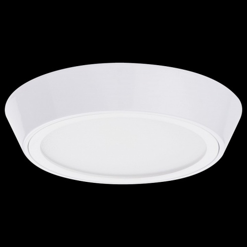 Накладной светильник Lightstar Urbano 214902 в Нижнем Новгороде фото 3