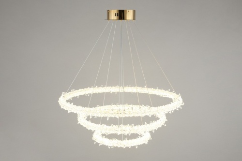 Подвесной светильник Aployt Merion APL.040.03.105 в Нижнем Новгороде фото 12