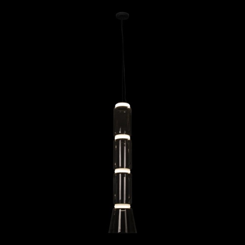 Подвесной светильник Loft it Noctambule 10193/L в Омске фото 3