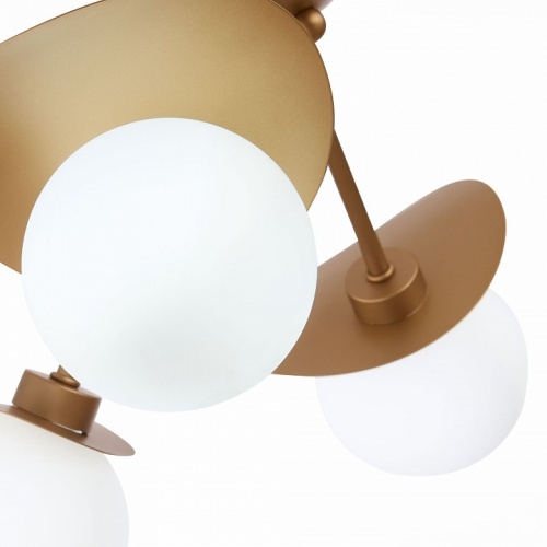 Потолочная люстра EVOLUCE Bolzano SLE220502-05 в Нижнем Новгороде фото 2