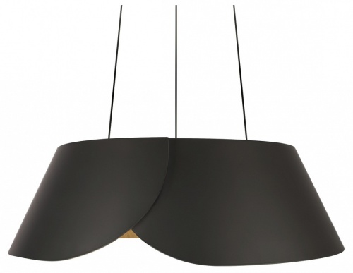 Подвесной светильник Loft it Lane 10370P Black в Нижнем Новгороде фото 9