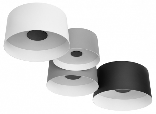 Потолочная люстра Loft it Duo 10360/4 в Нижнем Новгороде фото 7