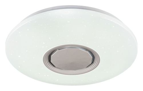 Накладной светильник Ambrella Light FF FF201 в Нижнем Новгороде