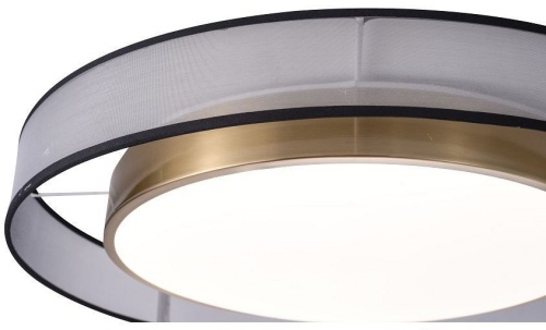 Накладной светильник Zortes Bella ZRS.27510.05 в Нижнем Новгороде фото 5