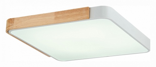 Накладной светильник EVOLUCE Festa SLE201252-01 в Нижнем Новгороде фото 4