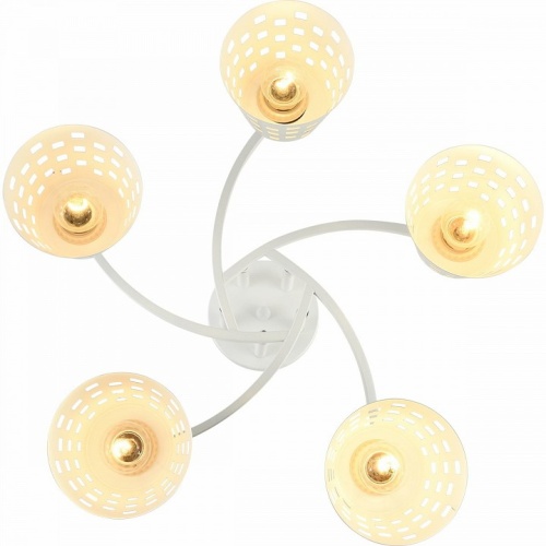 Потолочная люстра 01384 01384-0.3-05 WH+CR в Нижнем Новгороде фото 2