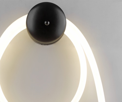 08041-2,19 Настенный светильник Далия черный в Карачеве фото 2